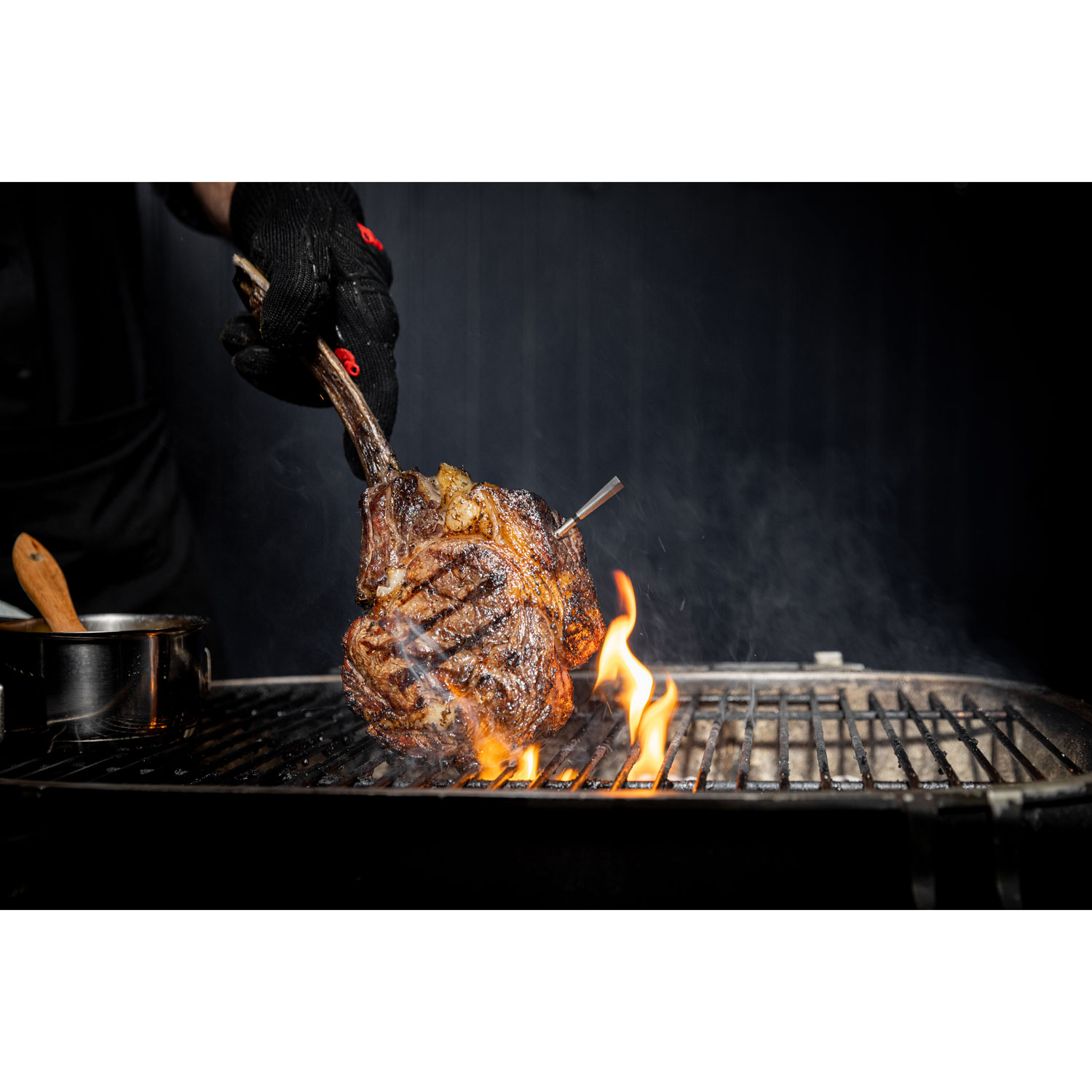 Traeger Meater Pro Wireless Thermometer - Silver