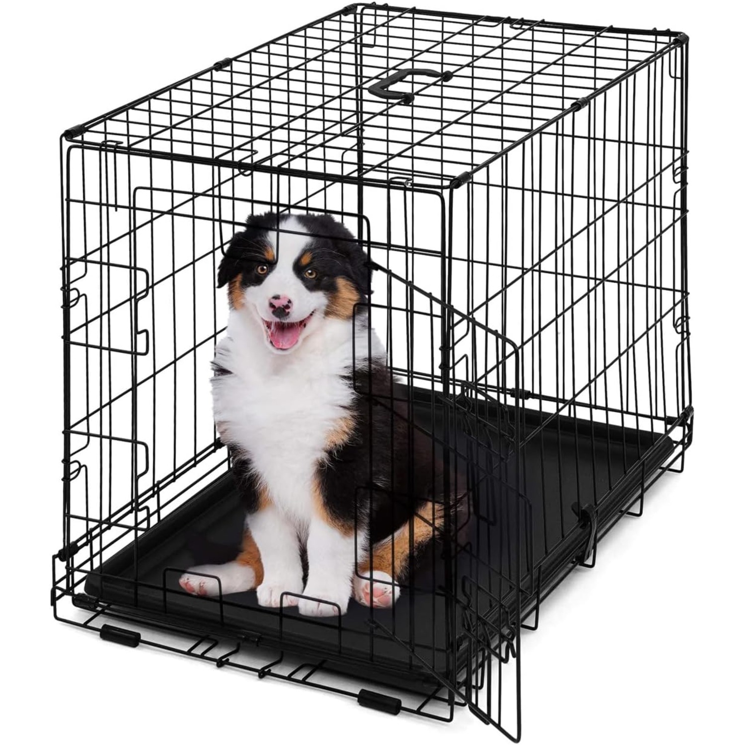 BOWHAUS Foldable Dog Crate Wire Metal Dog Kennel w/Divider Panel, Leak-Proof Pan & Protecting Feet, Single & Double Door, Small, Medium & Large Dog