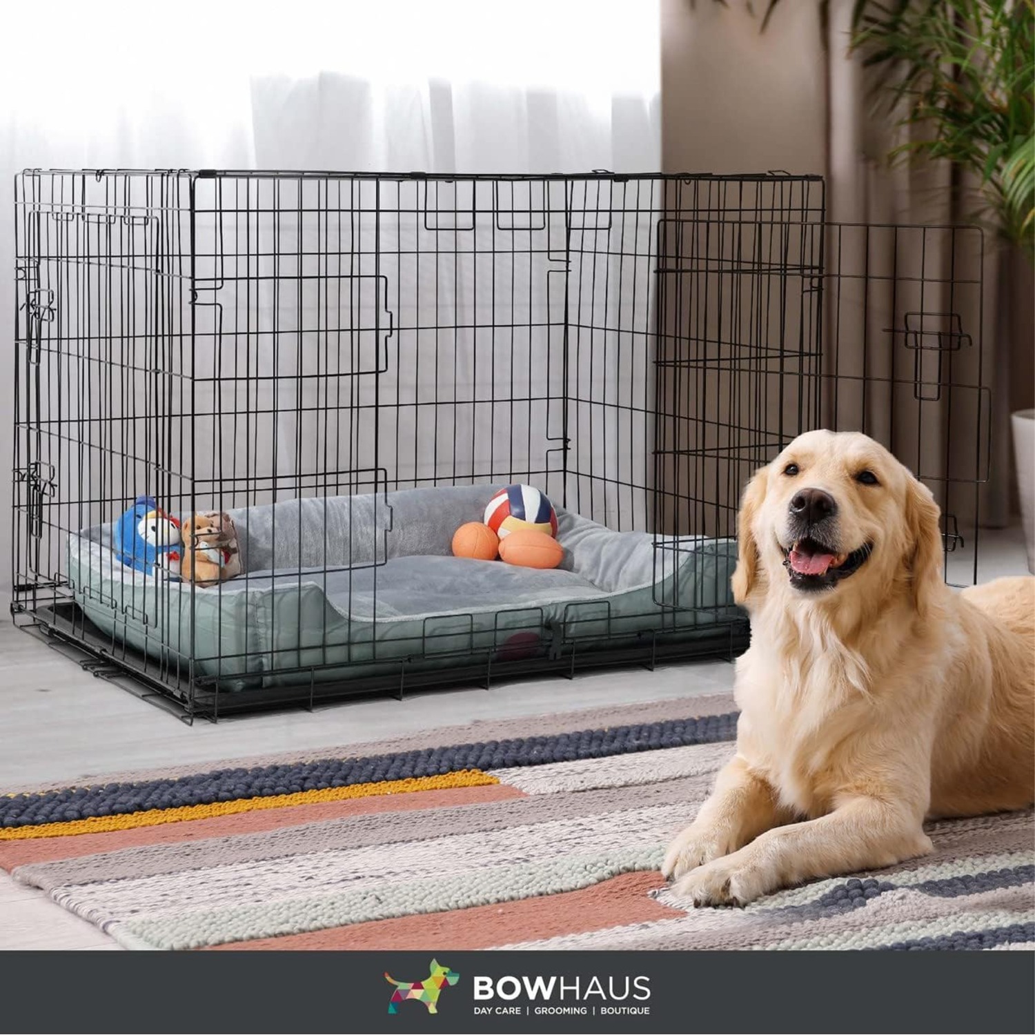 BOWHAUS Foldable Dog Crate Wire Metal Dog Kennel w/Divider Panel, Leak-Proof Pan & Protecting Feet, Single & Double Door, Small, Medium & Large Dog