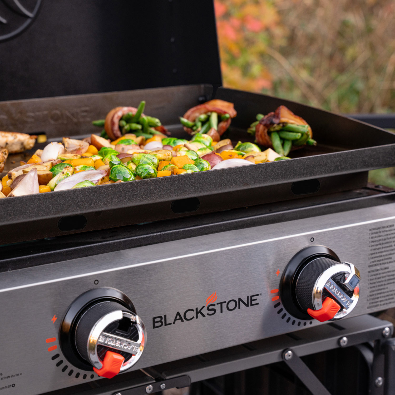 Blackstone 22" Omnivore Original Portable Tabletop Griddle with Hood