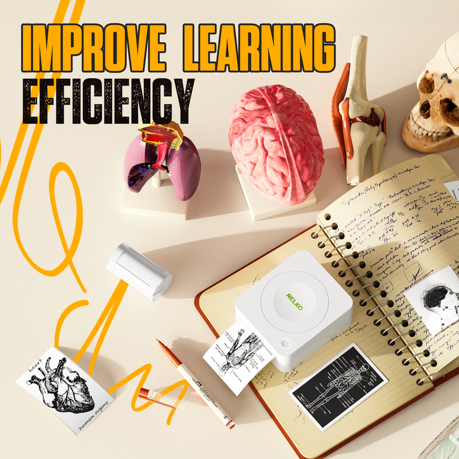 Nelko Genuine Self-Adhesive Thermal Printer Stickers, Compatible with PM230 Mini Sticker Printer, 54mmx3.5m, 3 Rolls