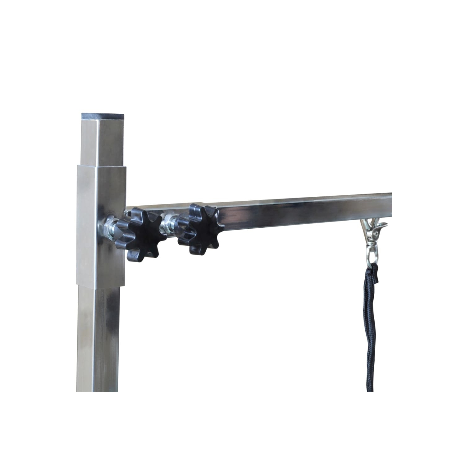 Table de toilettage réglable pour chiens avec 2 nouilles