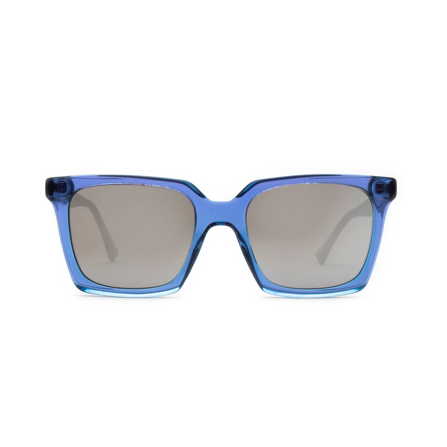 Bill Bags Blue by Biscayners