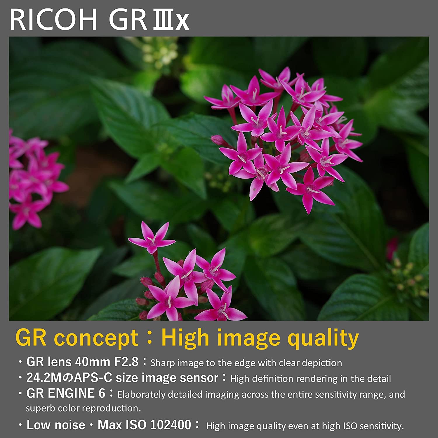 Refurbished - RICOH GR IIIx Digital Camera, Equipped with24.2M APS-C Size Large CMOS Sensor