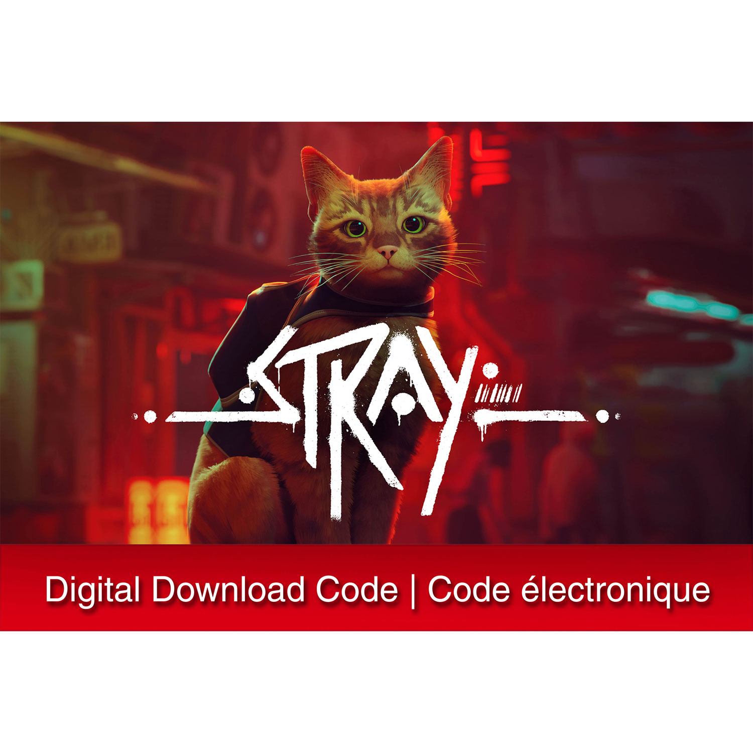 Stray - Digital Download