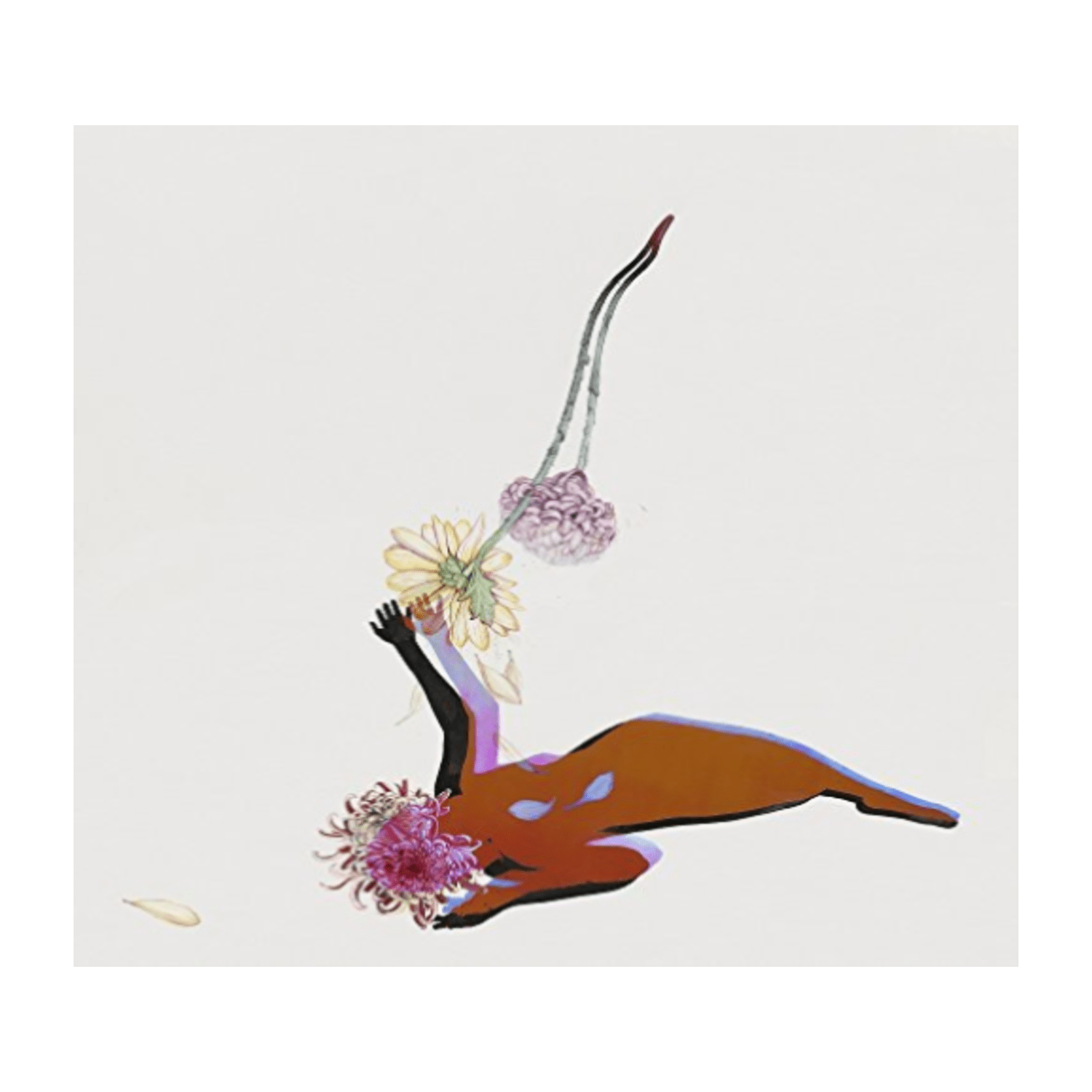 Future Islands - The Far Field - - [CD]