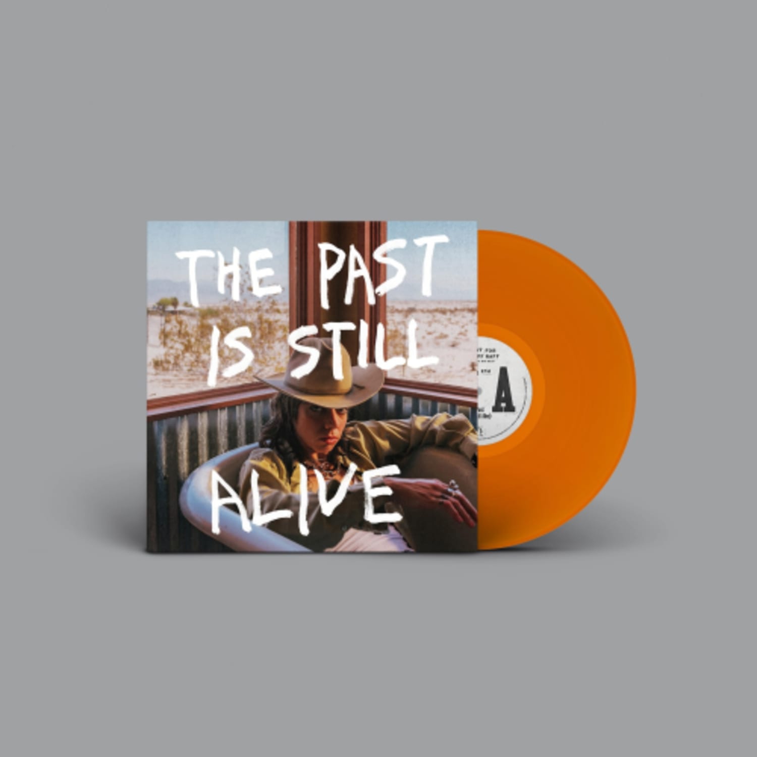 Hurray for the Riff Raff - The Past Is Still Alive - [Vinyl]