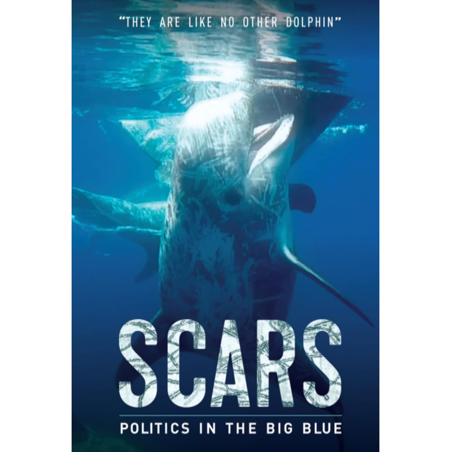 SCARS - [DVD]