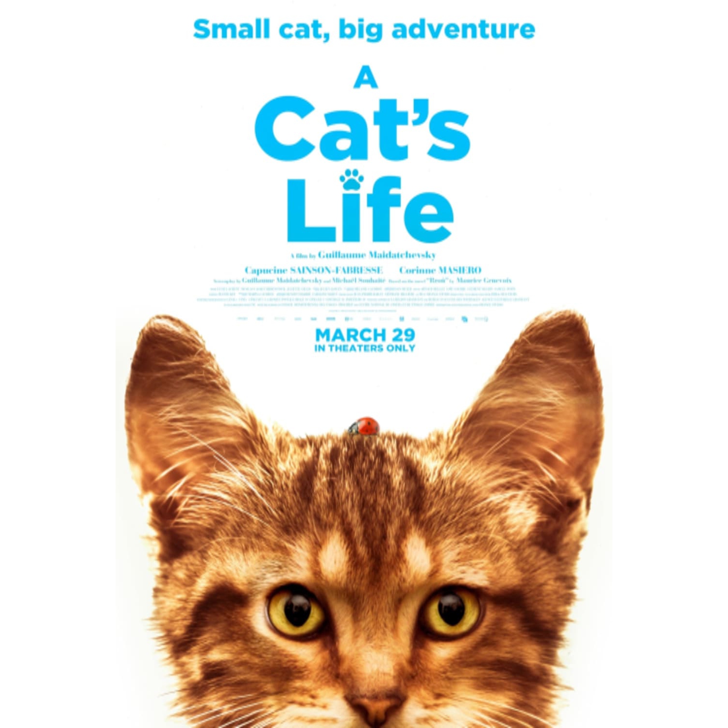 Cat's Life - - [DVD]