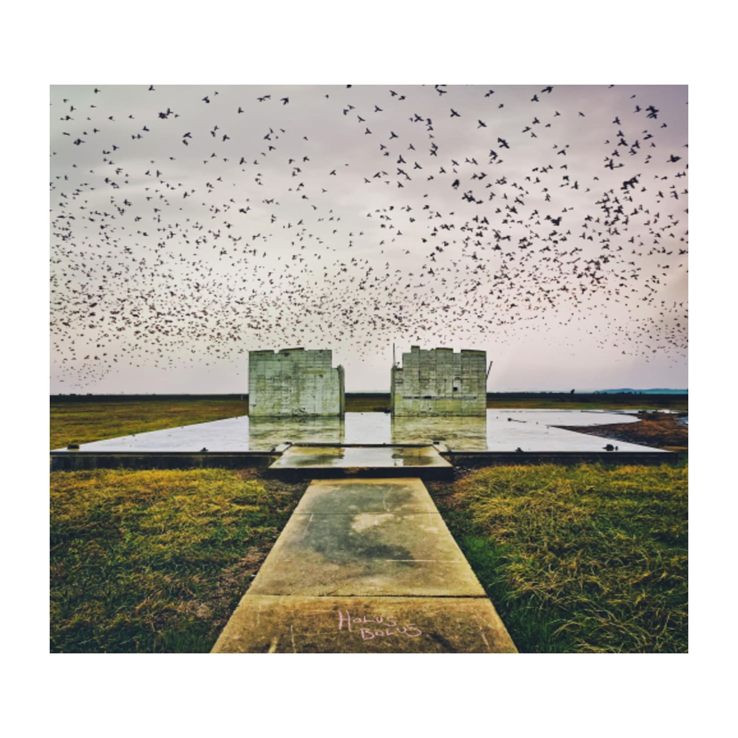 Lord Buffalo - Holus Bolus - [CD]