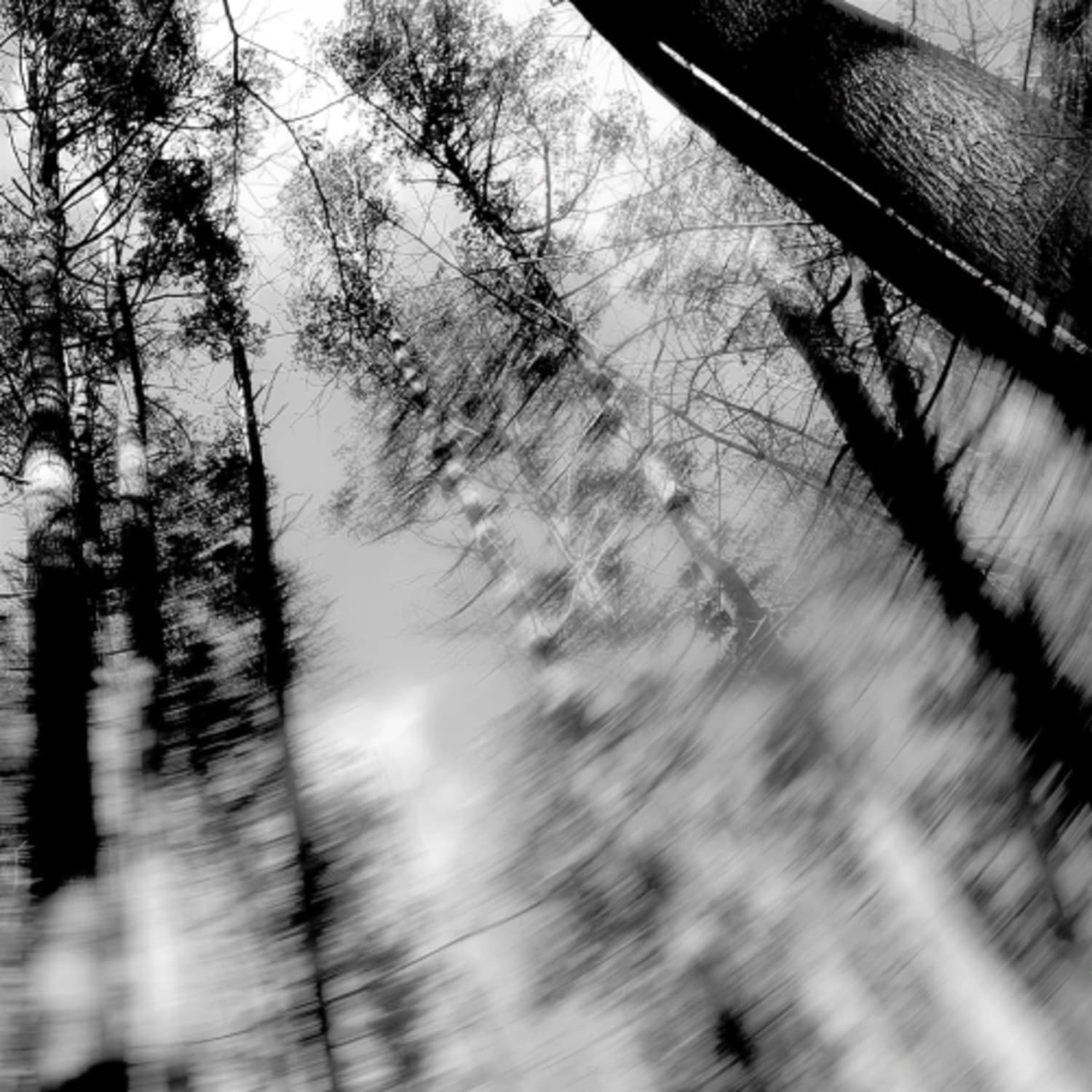 Loess - TOTEMS - [Vinyl]