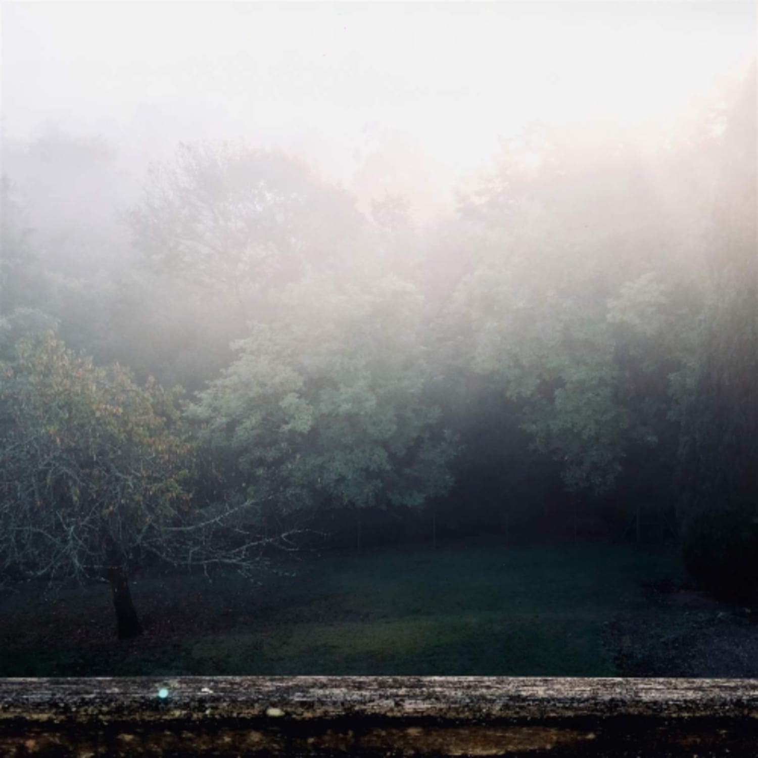 Robin Schlochtermeier - Spectral - - [Vinyl]