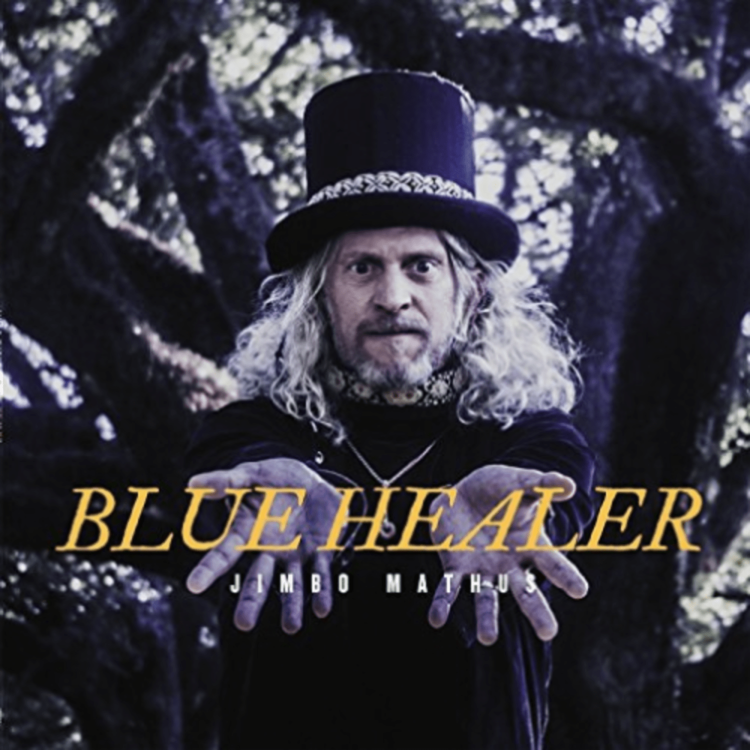 Jimbo Mathus - Blue Healer - [Vinyl]