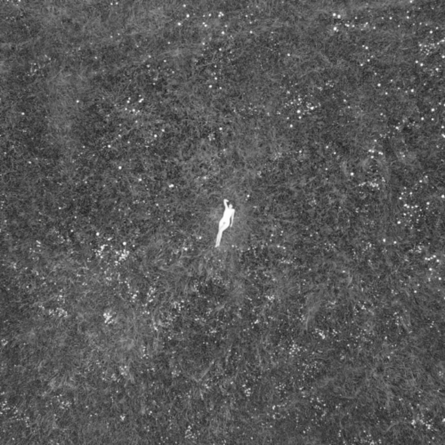 Birds of Passage - The Last Garden - - [Vinyl]