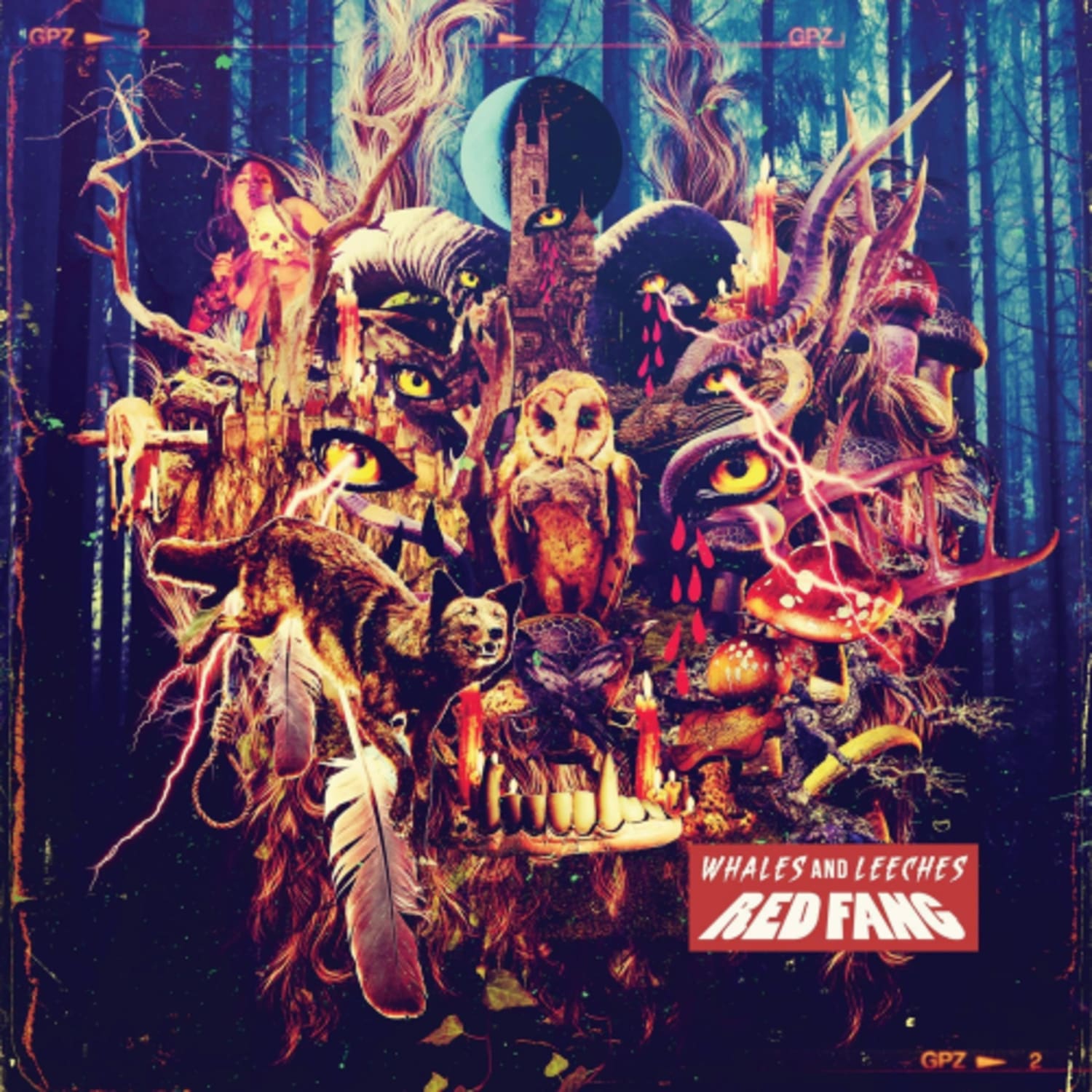 Red Fang - Whales & Leeches [Import] - - [Vinyl]