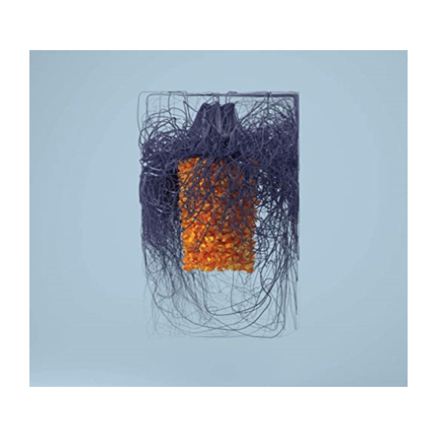 Plaid - Polymer - [CD]