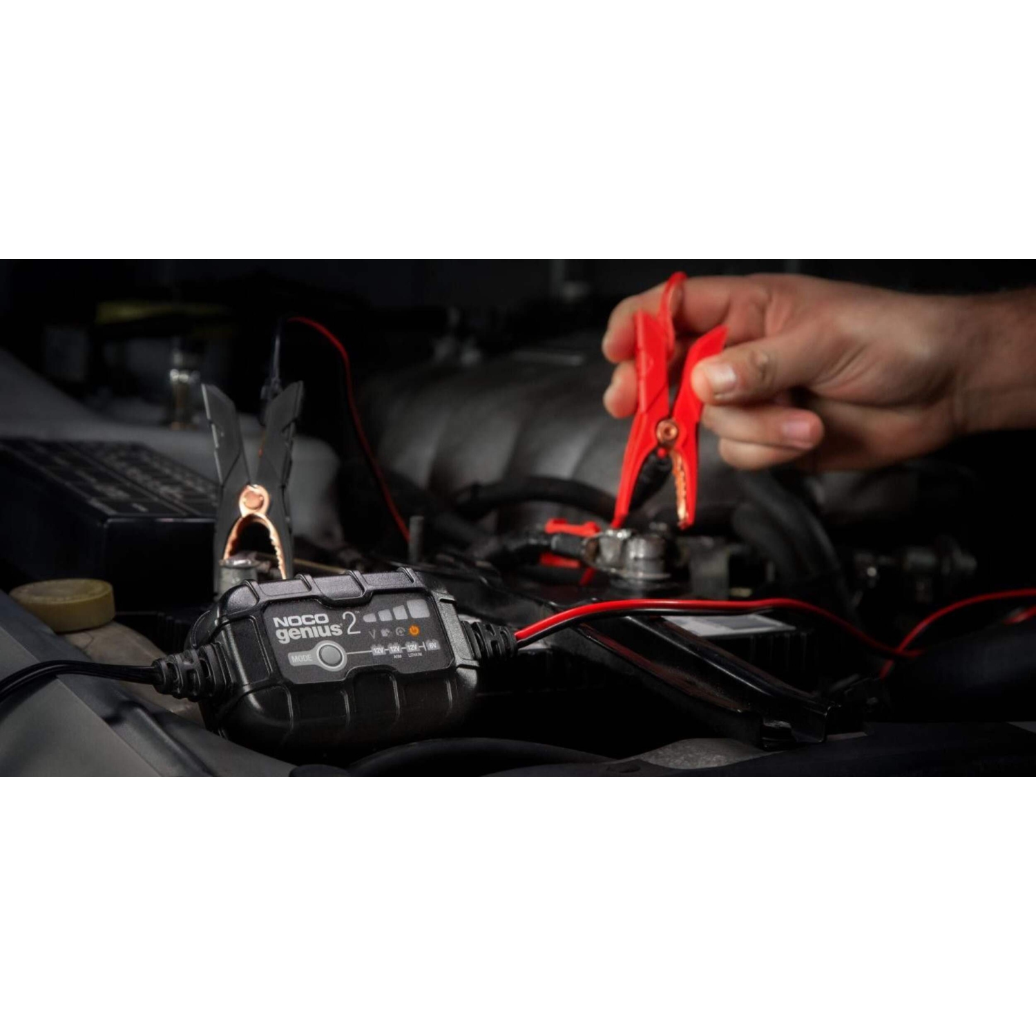 Nouveau - Chargeur de batterie intelligent NOCO GENIUS2/Maintainer/Desulfator, 2 A, 6&nbsp;V/12&nbsp;V