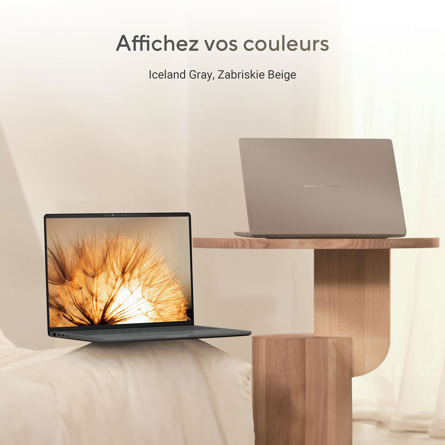 ASUS Zenbook A14 14" Copilot+ Laptop - Iceland Grey