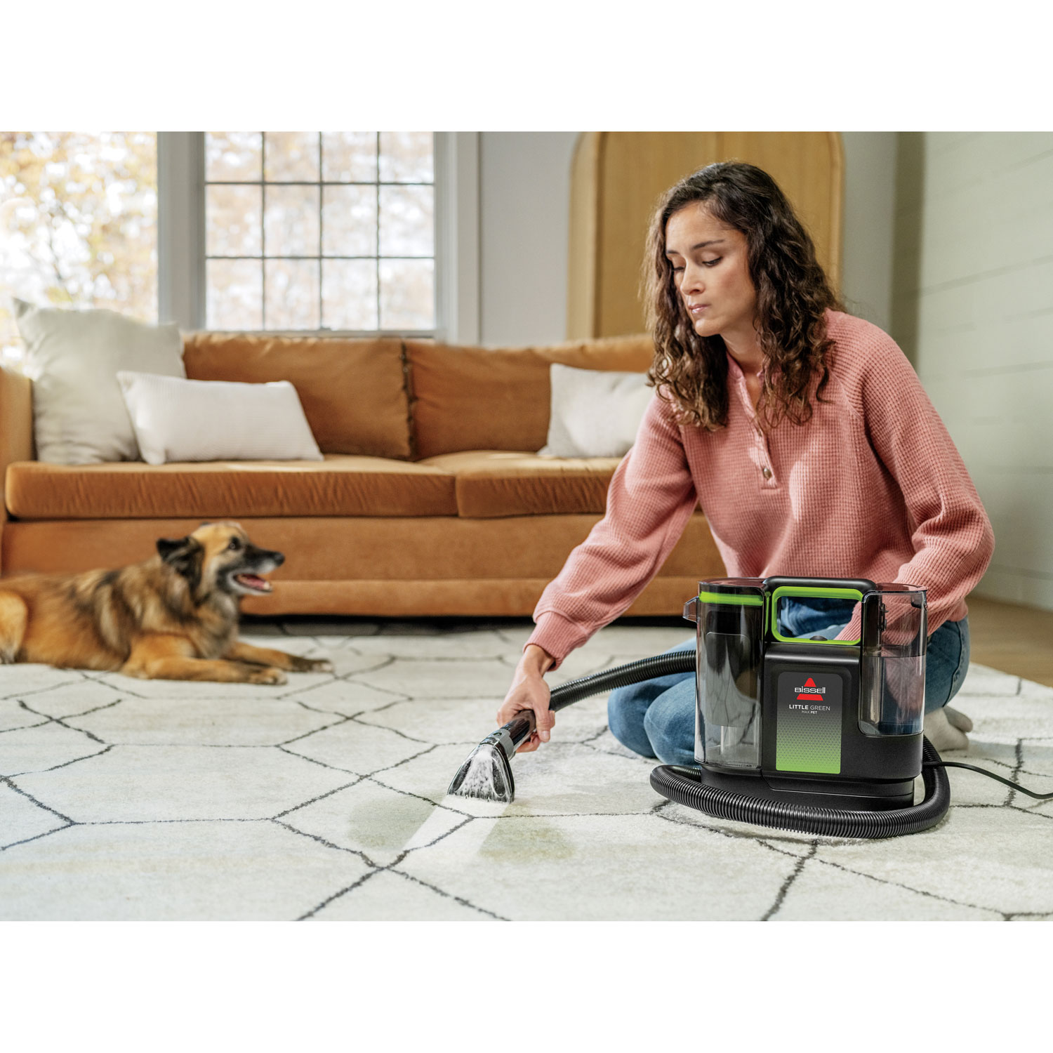 Bissell Little Green Max Pet Portable Carpet & Upholstery Deep Cleaner - Black/Green