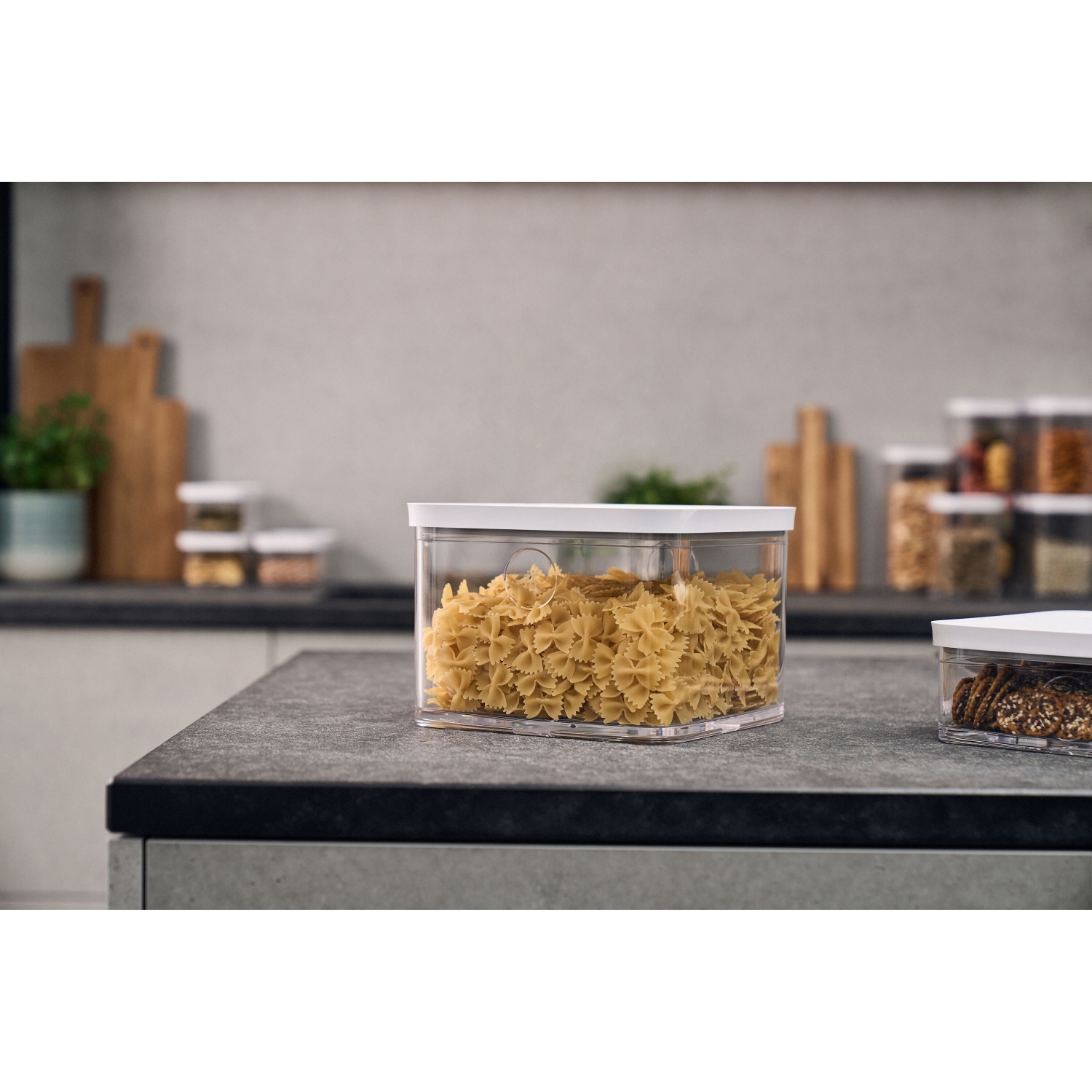 ZWILLING Fresh & Save CUBE Cube Box 2L / 21 cm, Transparent-White