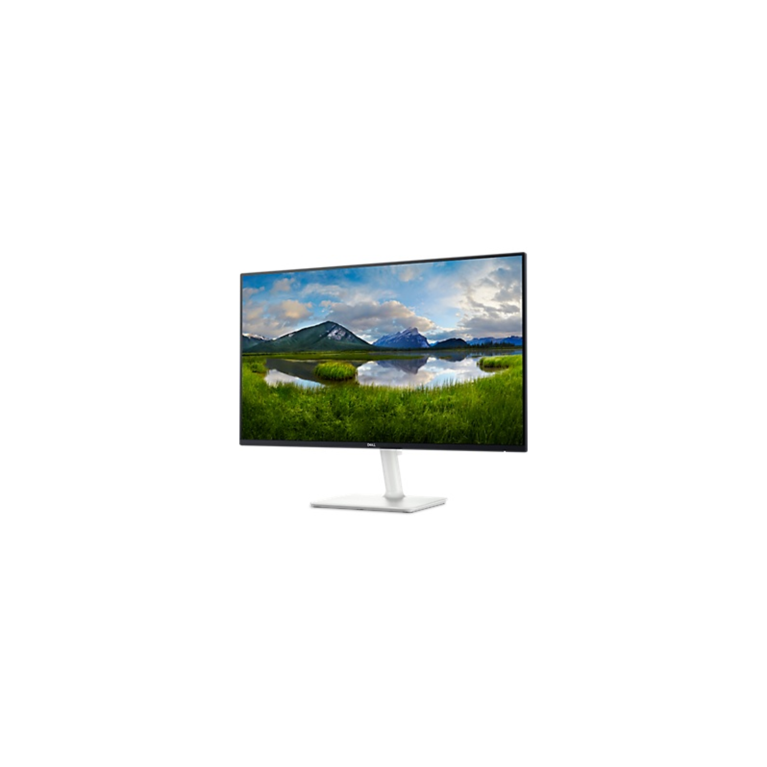 Dell 24 Monitor - S2425H