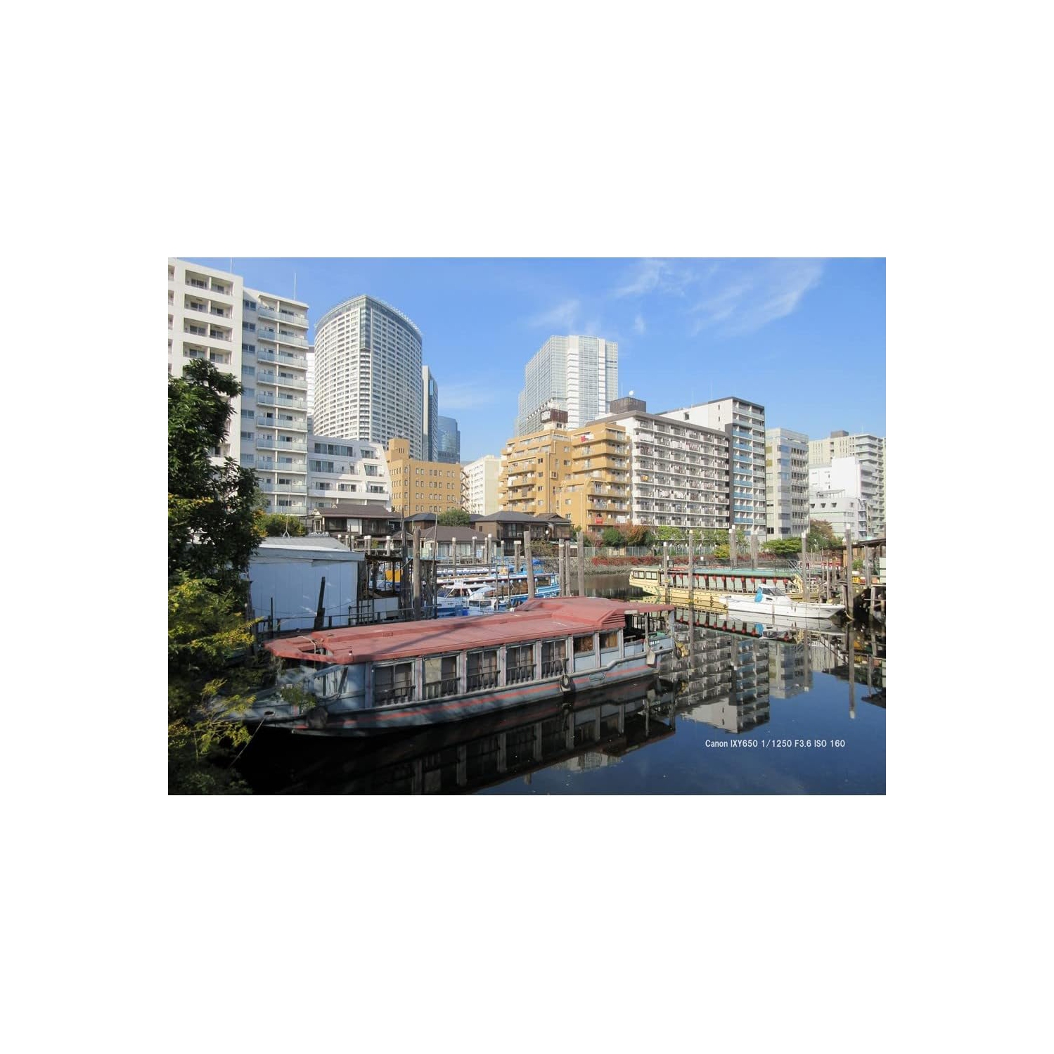 Canon Compact Digital Camera IXY 650 12x Optical Zoom IXY650 - Silver - Bundle