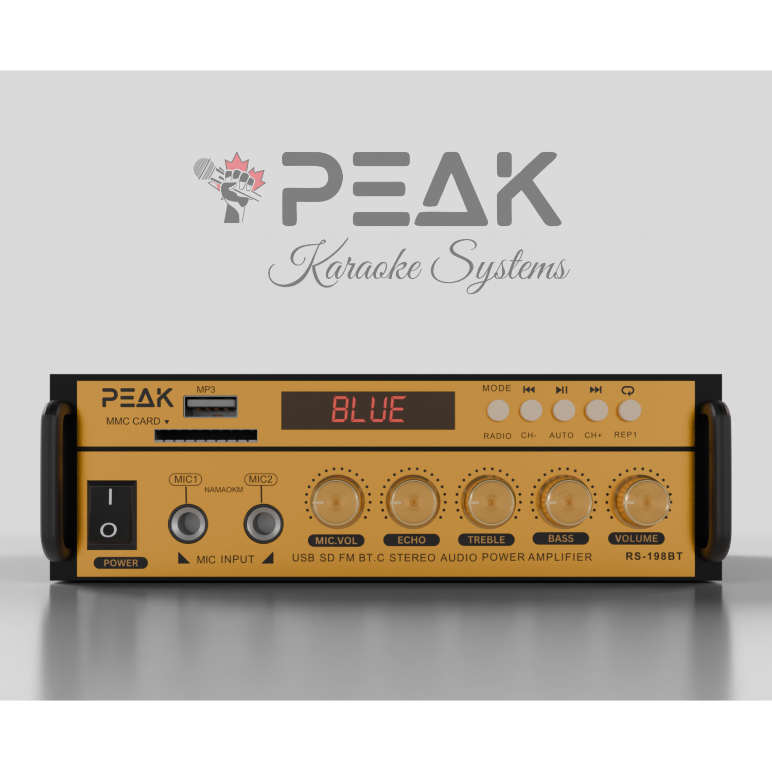 PEAK Karaoke GOLD FLOYD PRO STAGE I System - 600W