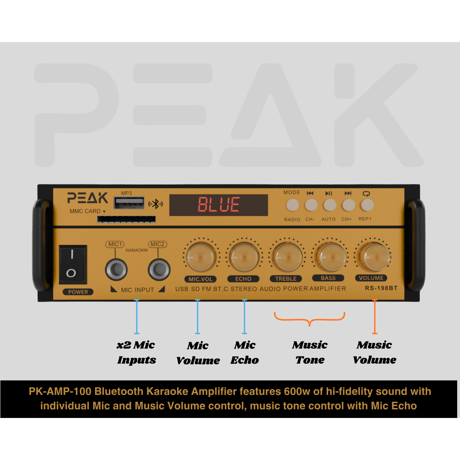 PEAK Karaoke GOLD FLOYD PRO STAGE I System - 600W