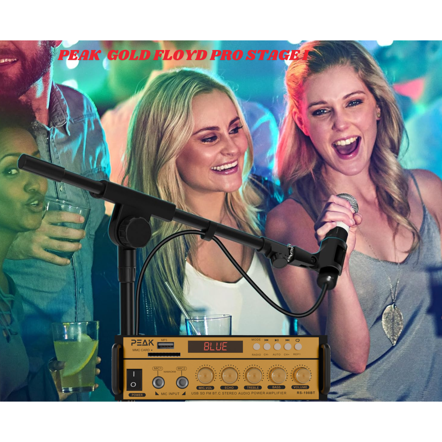 PEAK Karaoke GOLD FLOYD PRO STAGE I System - 600W