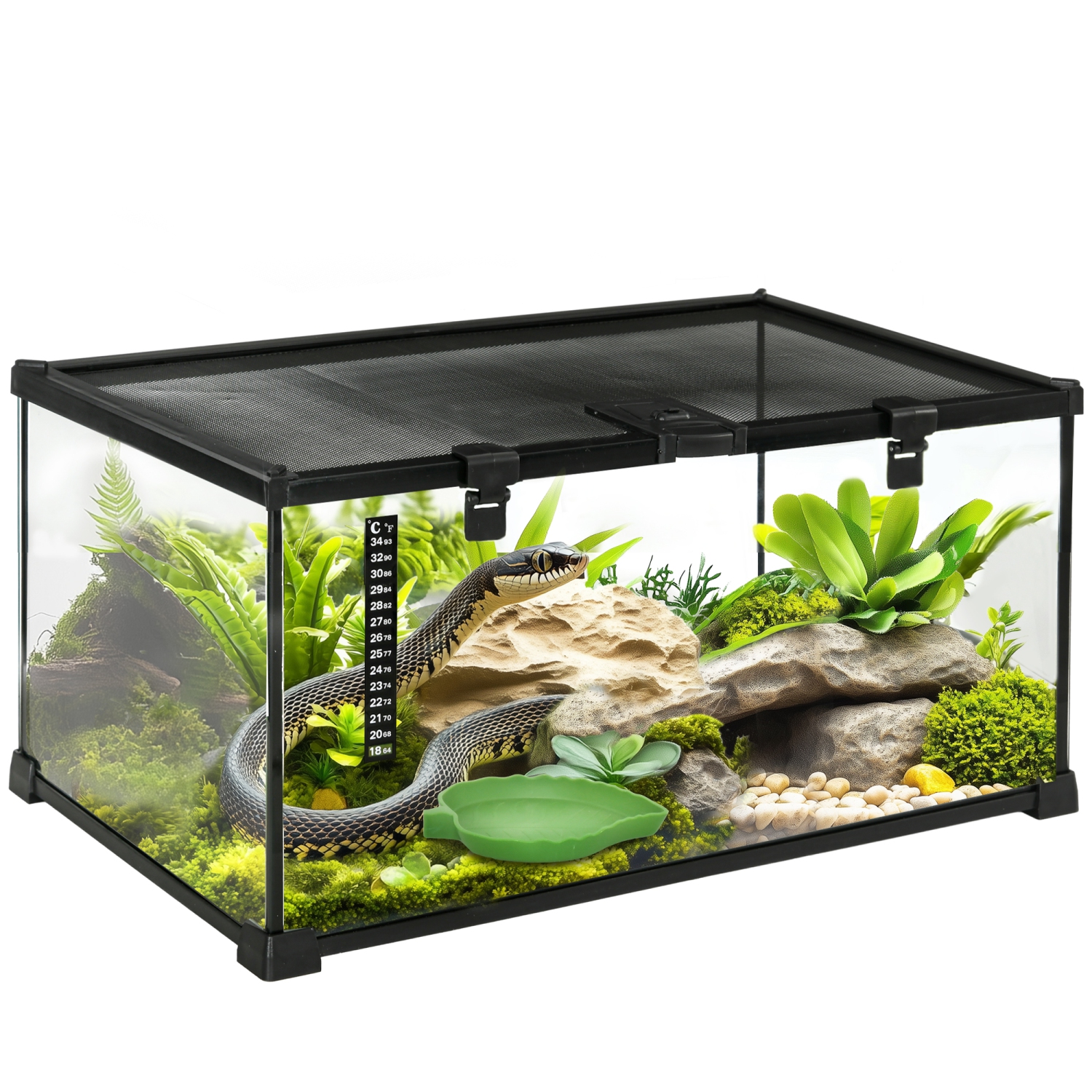 Terrarium pour reptile en verre de PawHut, enceinte d'araignée sauteuse avec thermomètre, bassin d'eau, vue complète visuellement pour les lézards,