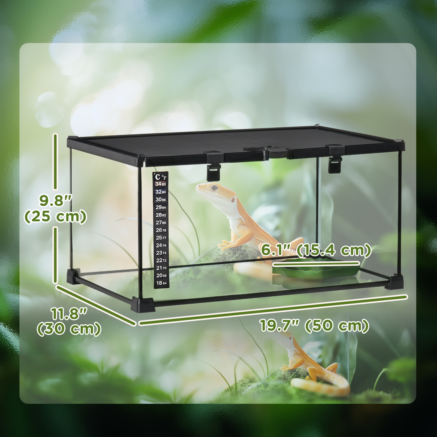 Terrarium pour reptile en verre de PawHut, enceinte d'araignée sauteuse avec thermomètre, bassin d'eau, vue complète visuellement pour les lézards,