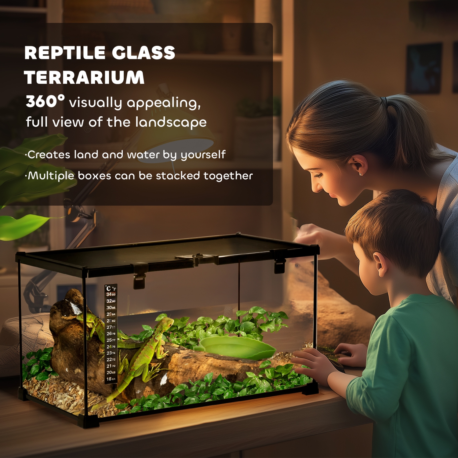 Terrarium pour reptile en verre de PawHut, enceinte d'araignée sauteuse avec thermomètre, bassin d'eau, vue complète visuellement pour les lézards,