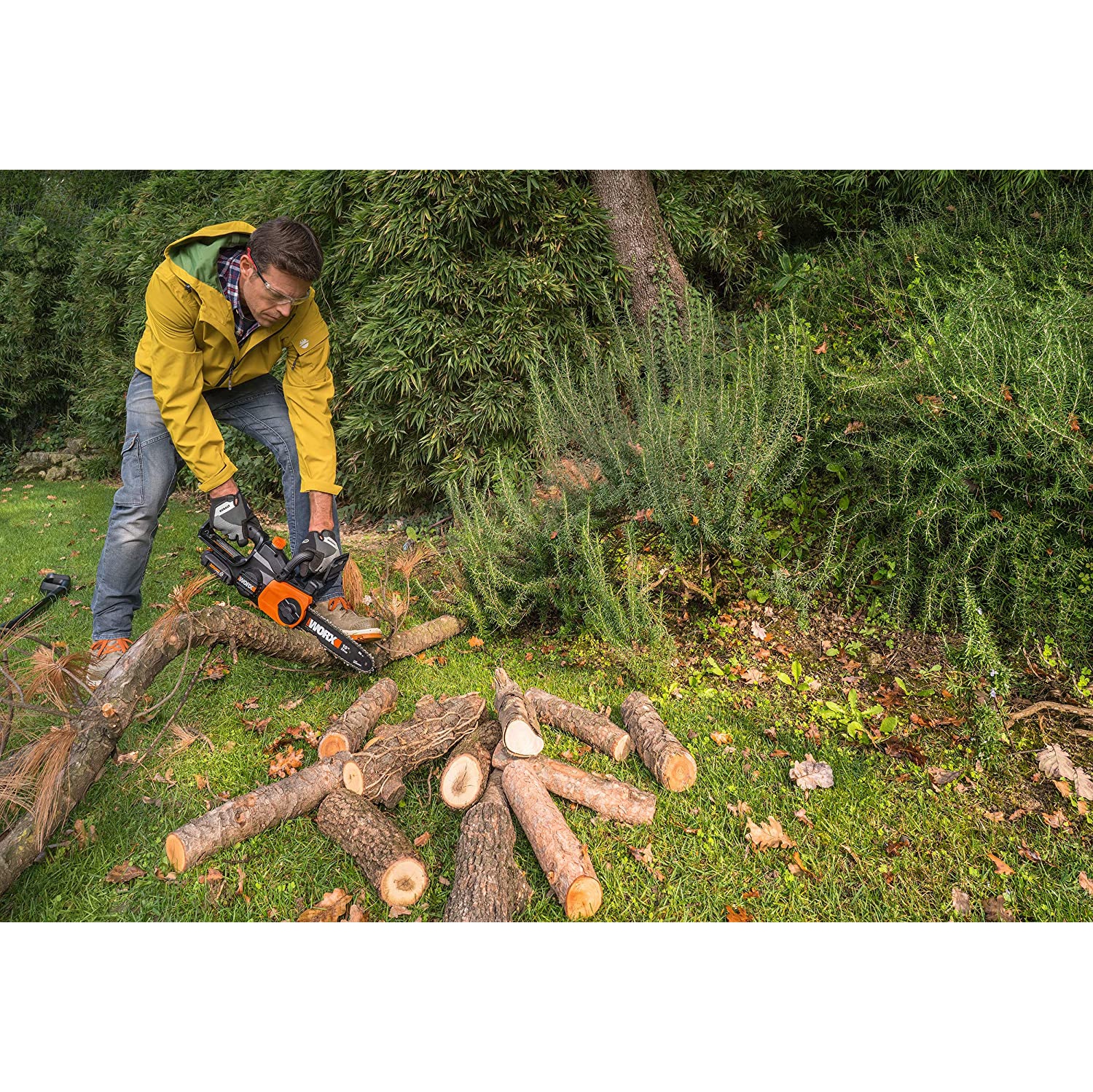 Worx - 10" Cordless Chainsaw