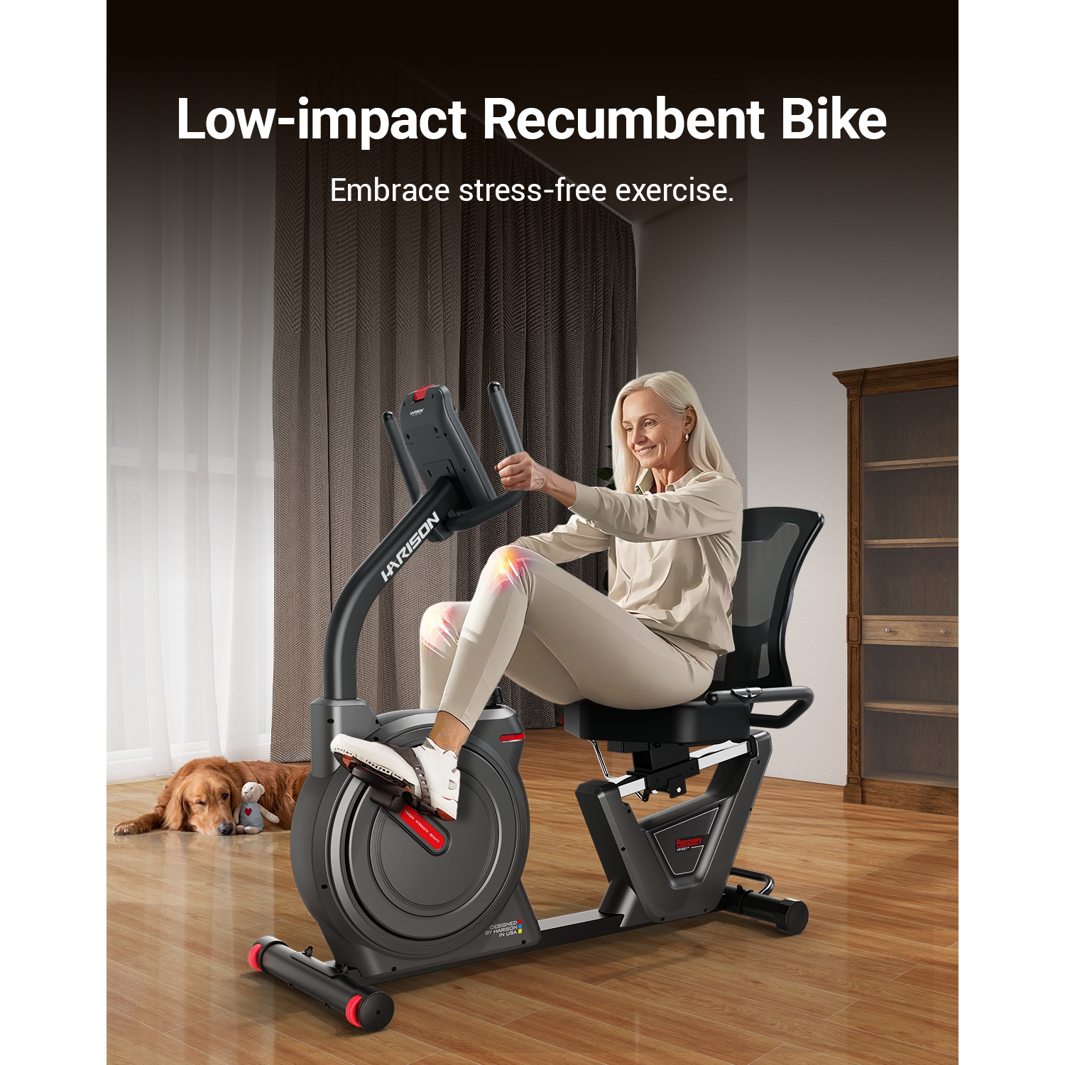 HARISON Semi Commercial Magnetic Recumbent Exercise Bike for Home with 450 lbs, Recumbent Bikes for Seniors & Adults with 2-in-1 LCD Monitor & Tablet