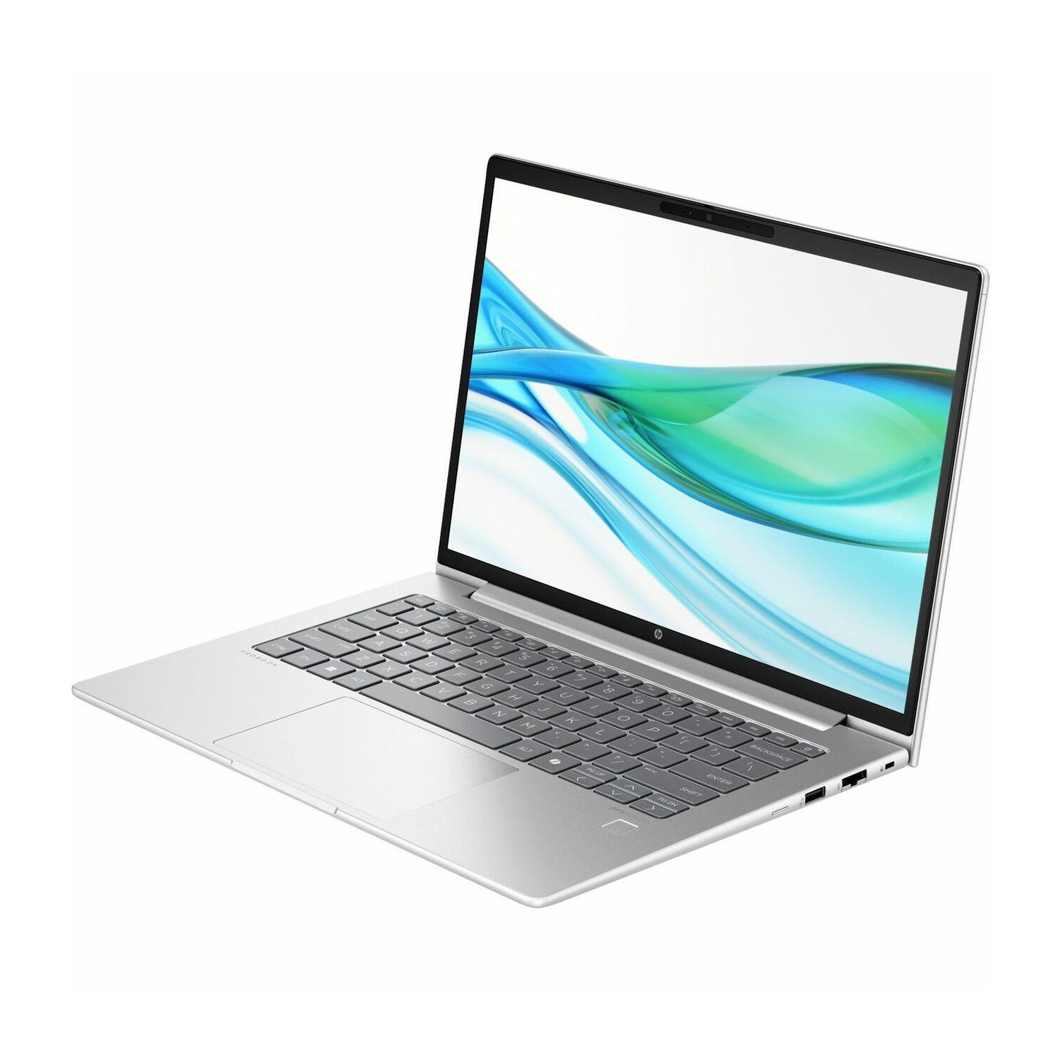 HP ProBook 440 G11 14" Laptop - Pike Silver - - (A1ND8UT#ABA)