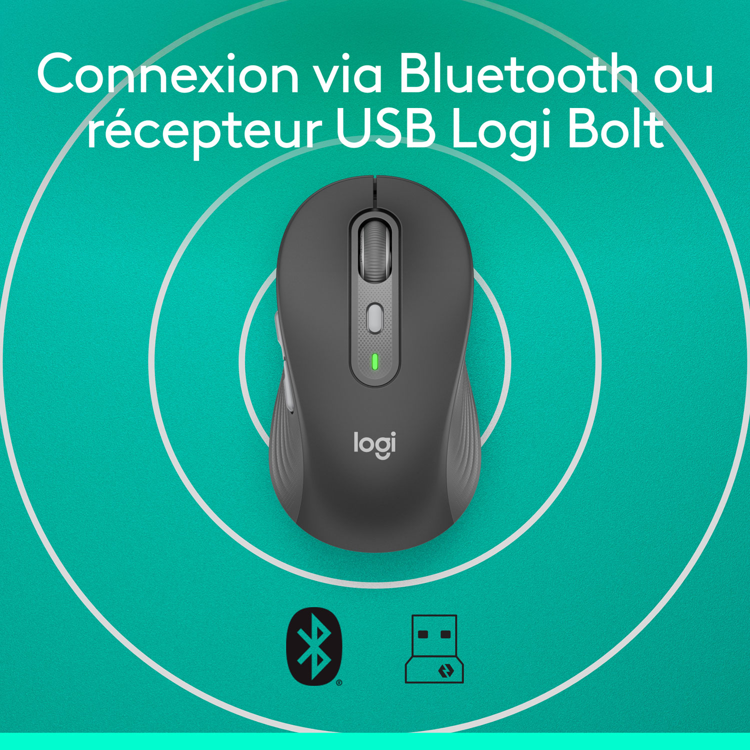 Logitech Signature Plus M750 L Bluetooth Optical Mouse - Graphite