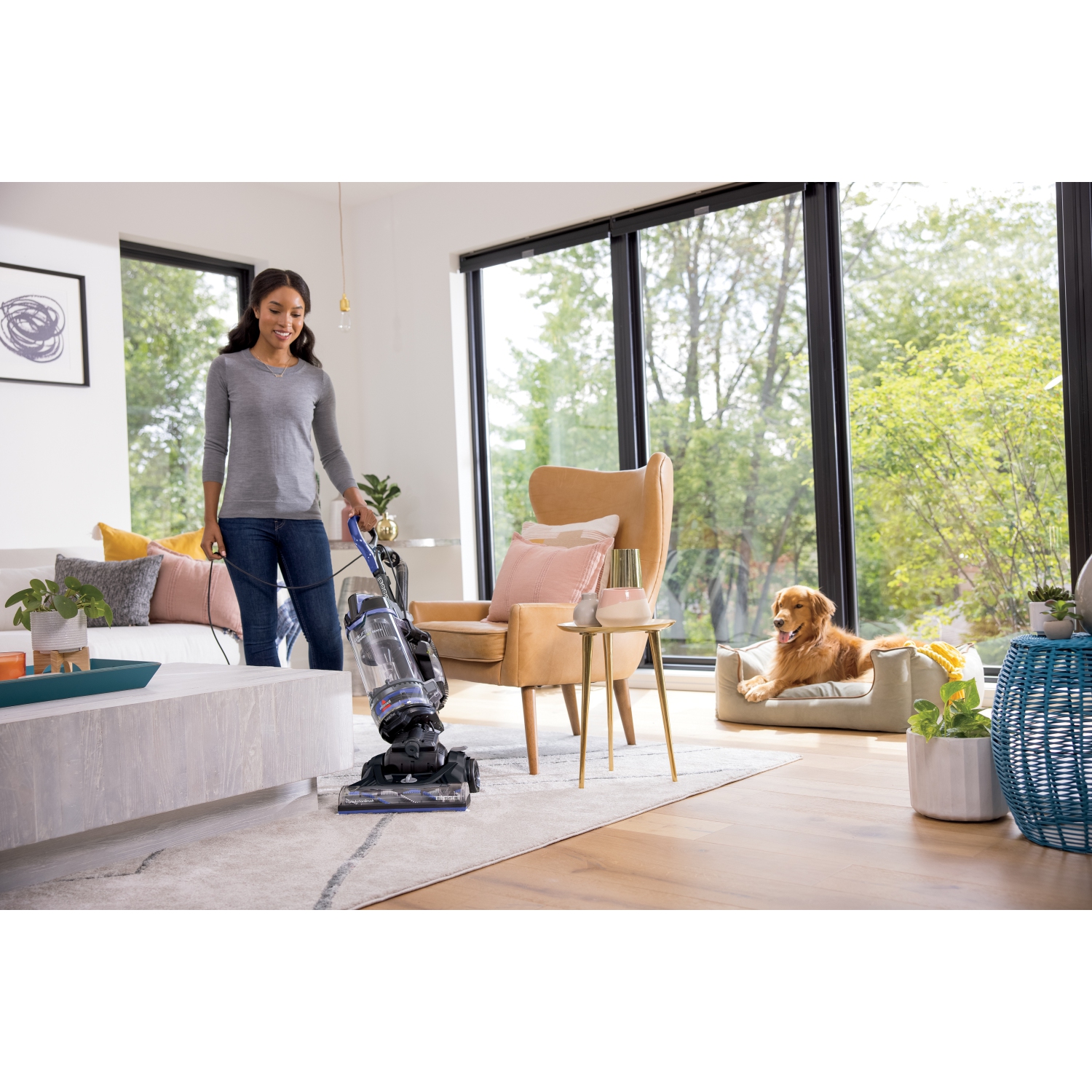 Remis à neuf Excellent - Enrouleur pivotant PowerLifter de Bissell