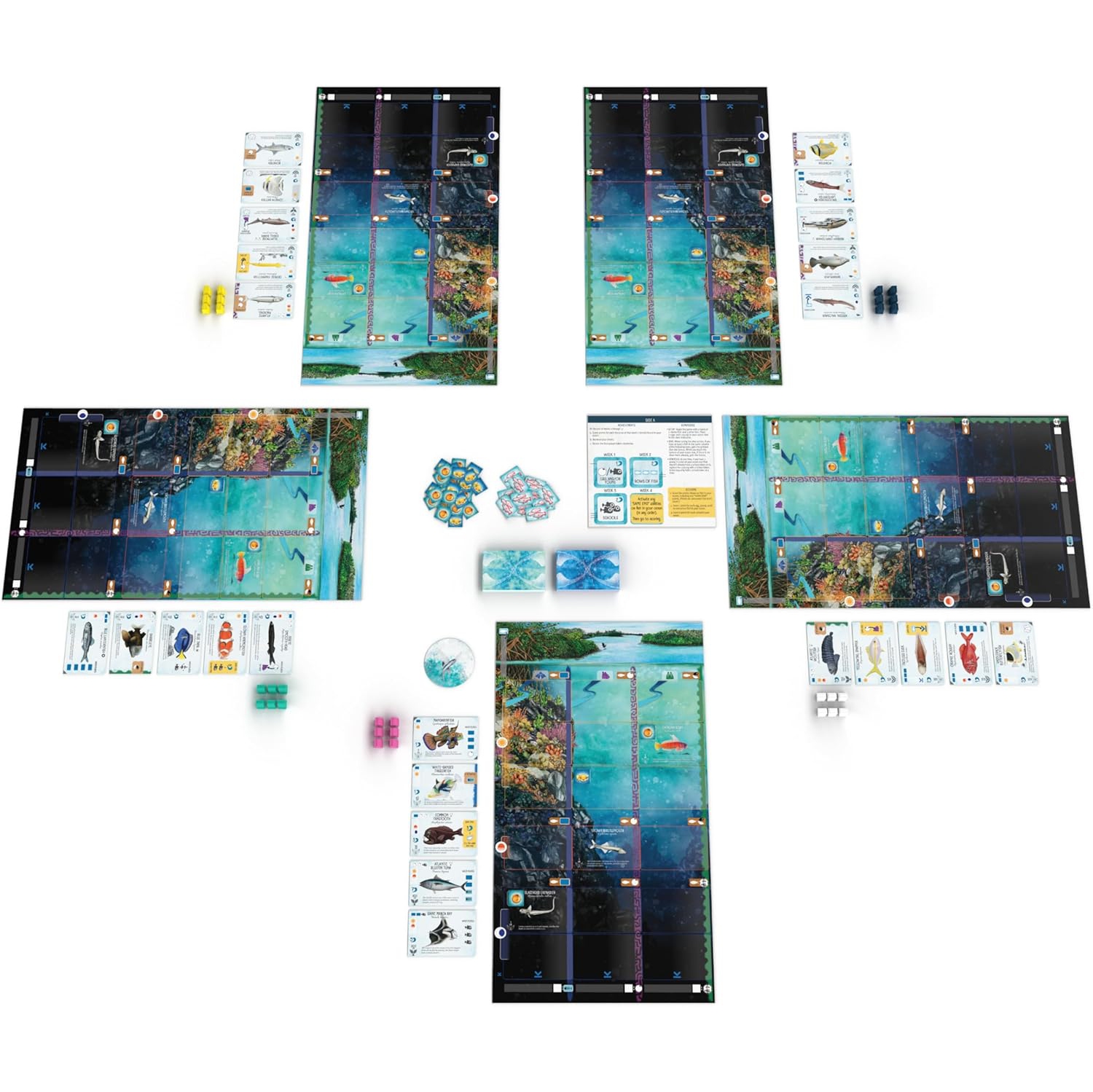 Stonemaier Games: Finspan - A Wingspan Game by David Gordon & Michael O’Connell | A Relaxing Strategy Board Game About Collecting Fish for Adults and