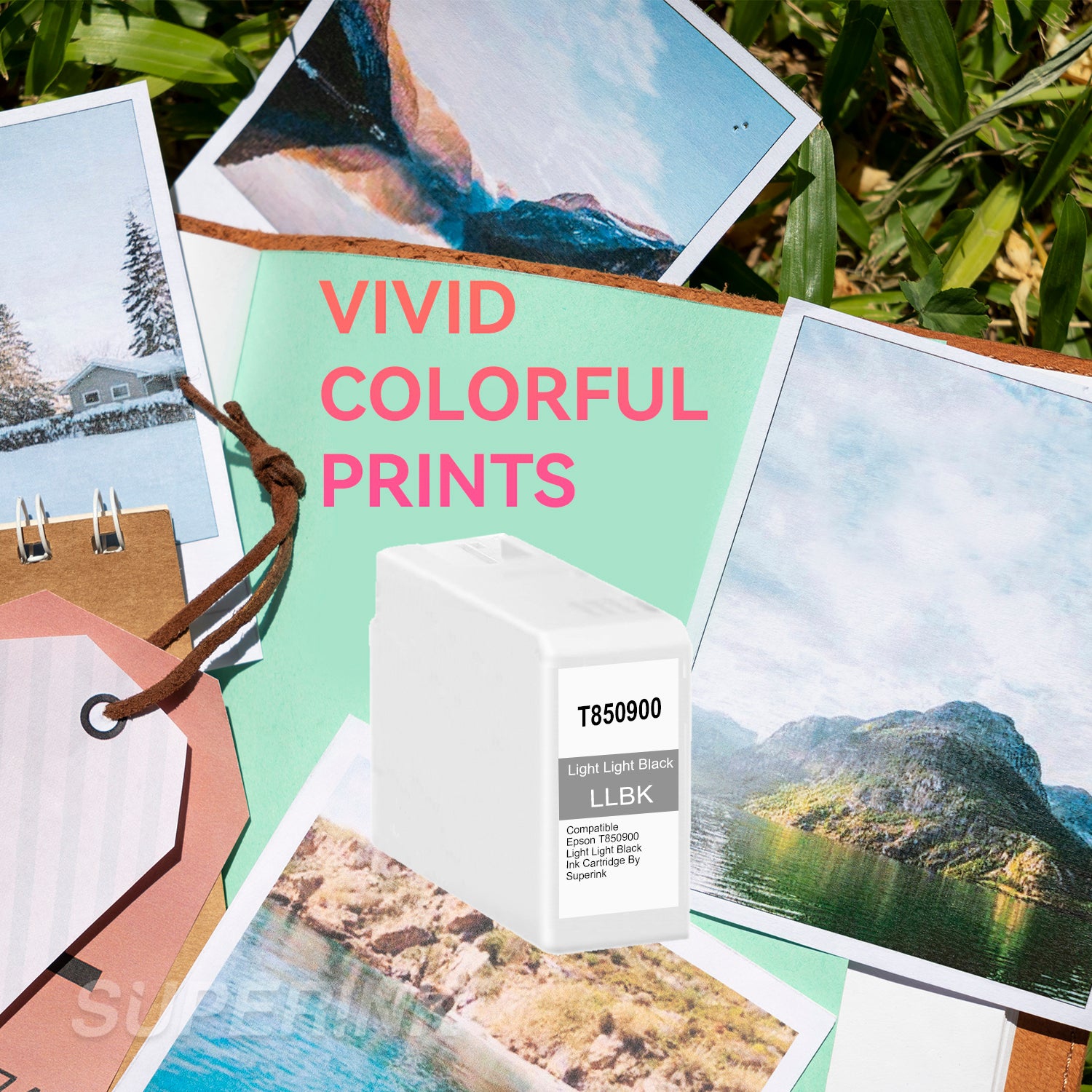 Compatible Epson T850900 Light Light Black Ink Cartridge By Superink