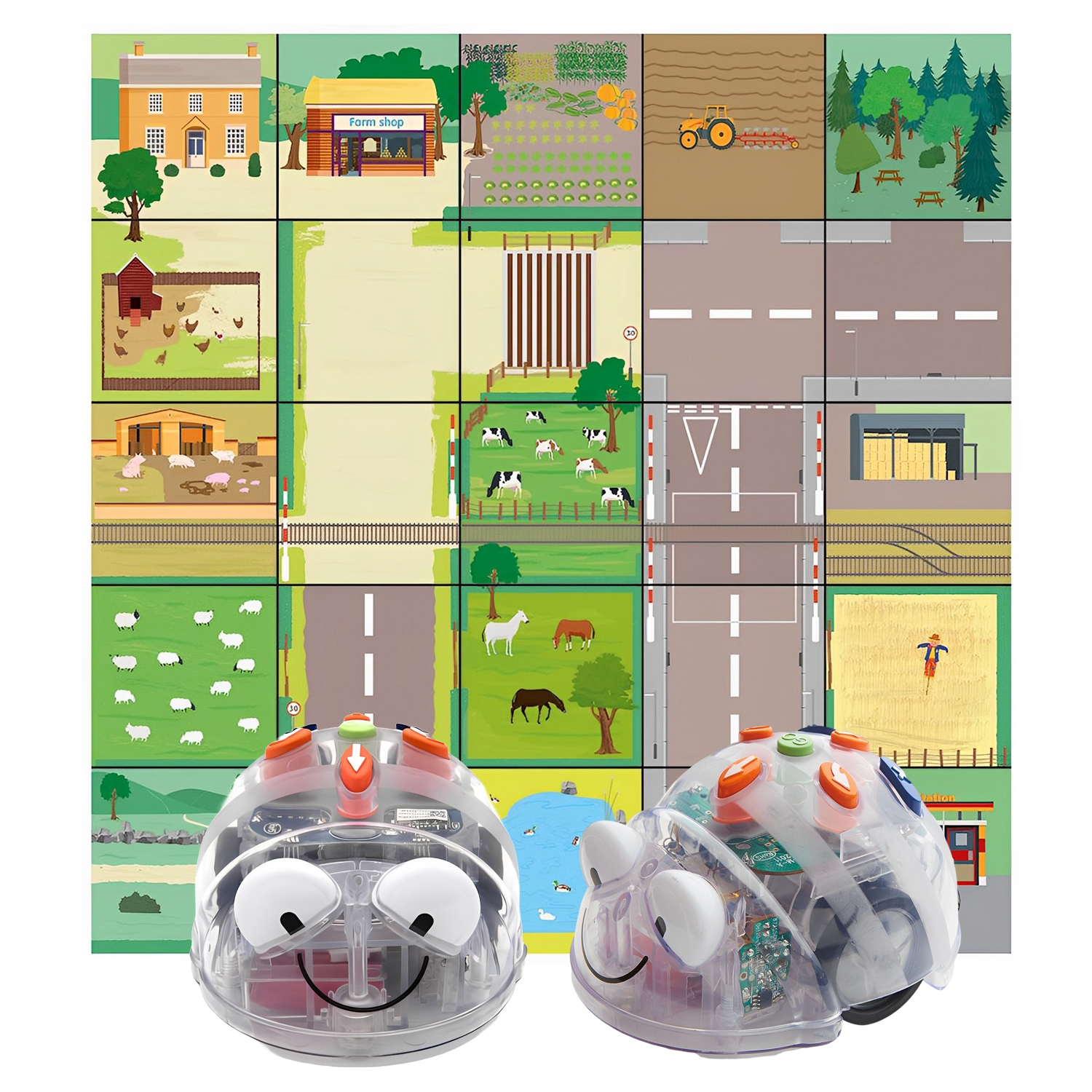 2 robot programmable Blue-Bot avec tapis d'activités 1 Countryside GRATUIT, version See & Say, programmation STIM éducative Formation robotique en