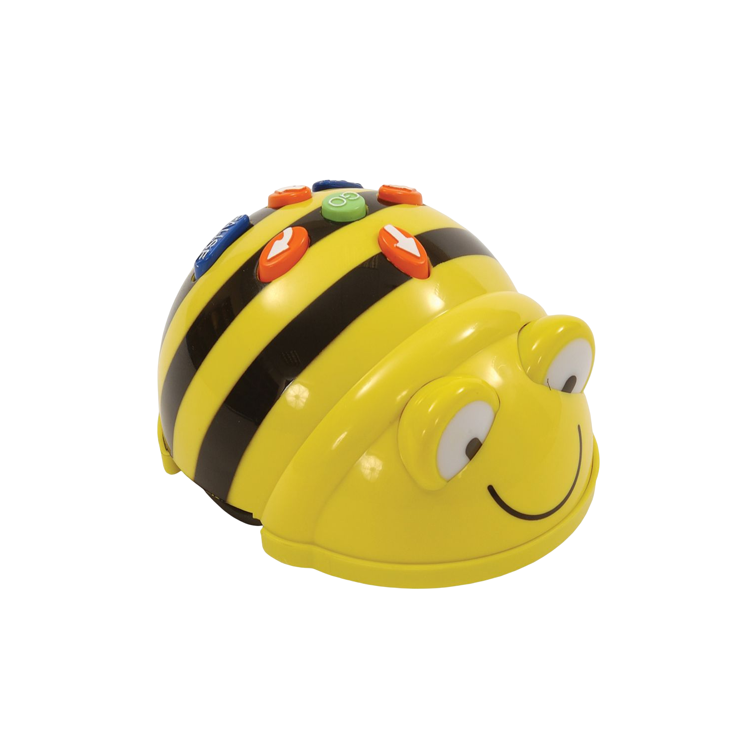 TTS Bee-Bot Coding Toy Robot See & Say Version Bundle Kit with Human Body Activity Mat, Educational STEM Teaching Leading Coding Robotics for