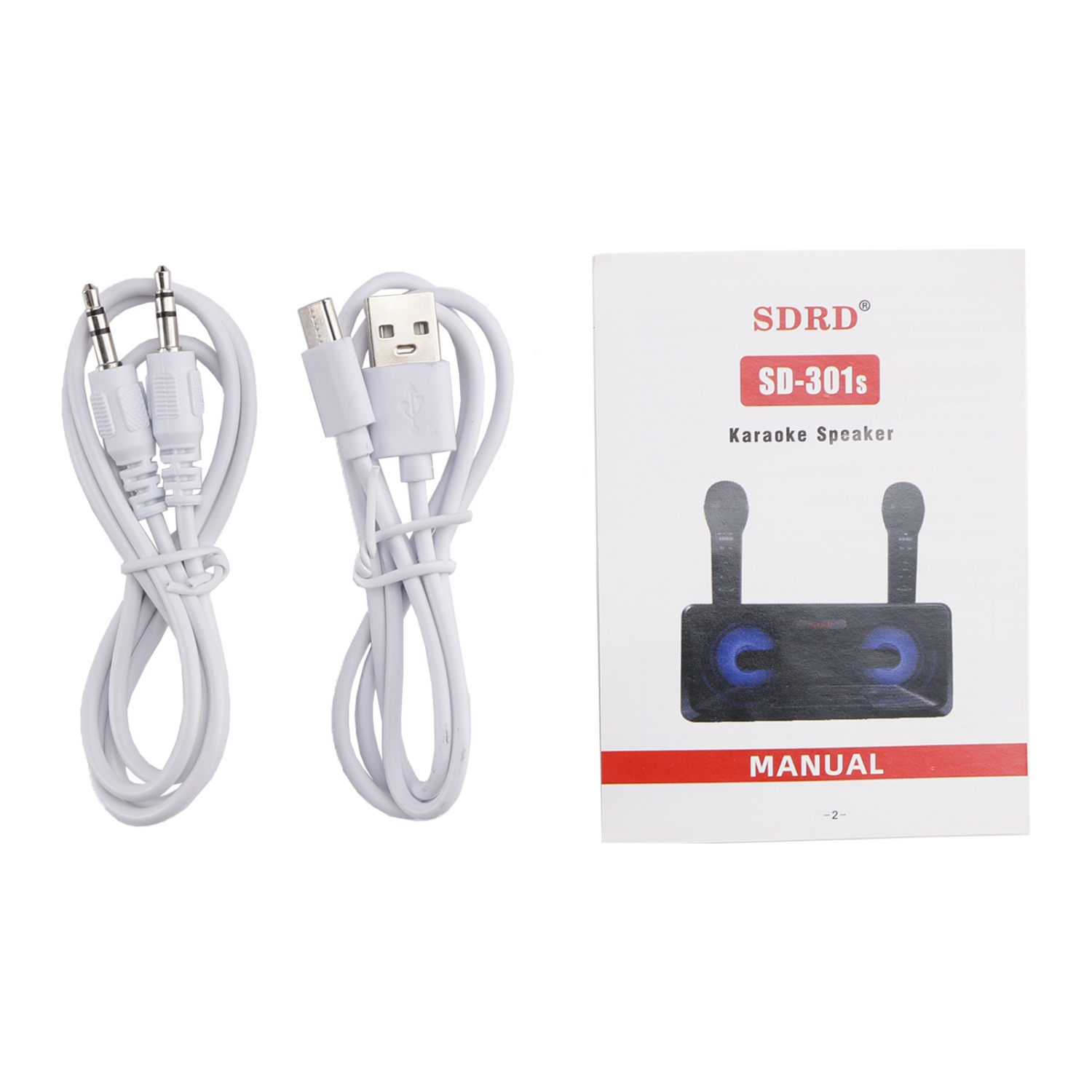 Haut-parleur Bluetooth sans fil Deux microphones Karaoke Tout-en-un portatif extérieur