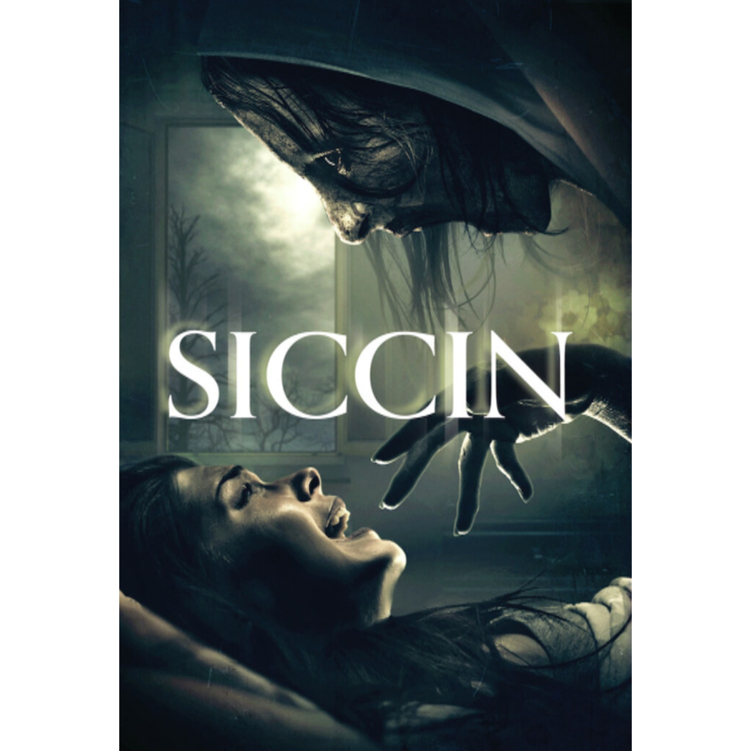 Siccin - - [DVD]