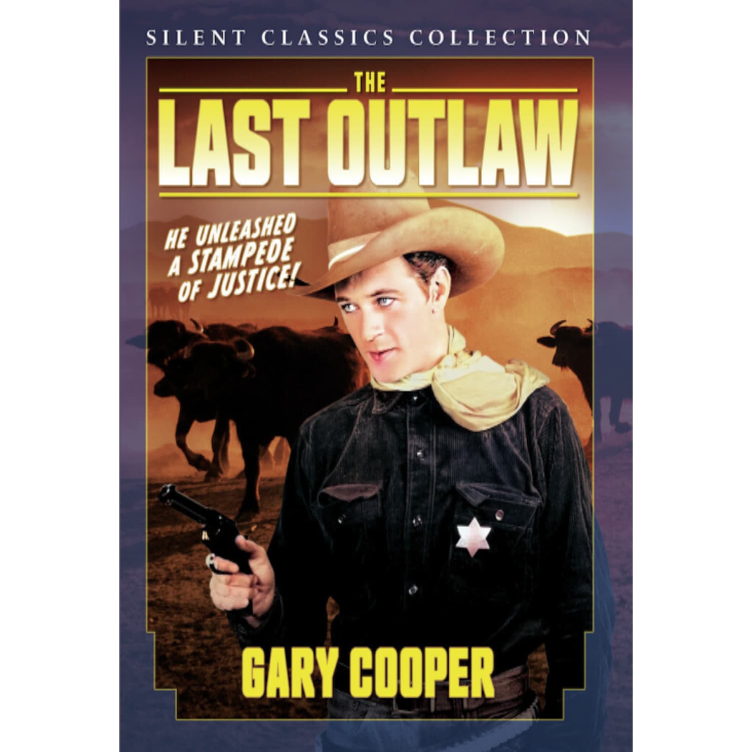 The Last Outlaw - - [DVD]