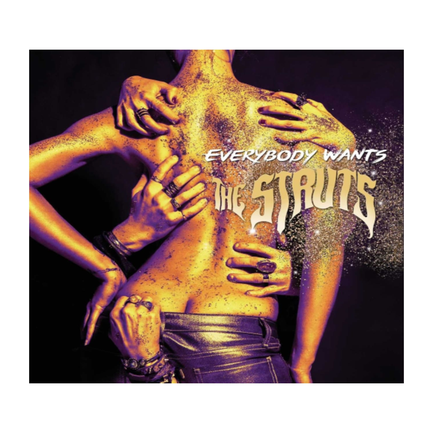 Struts - Everybody Wants - [CD]