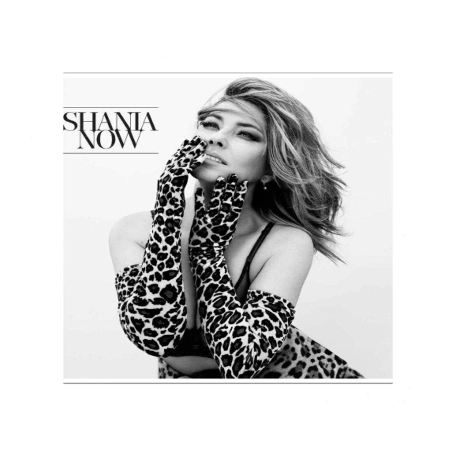 Shania Twain - Now - [CD]
