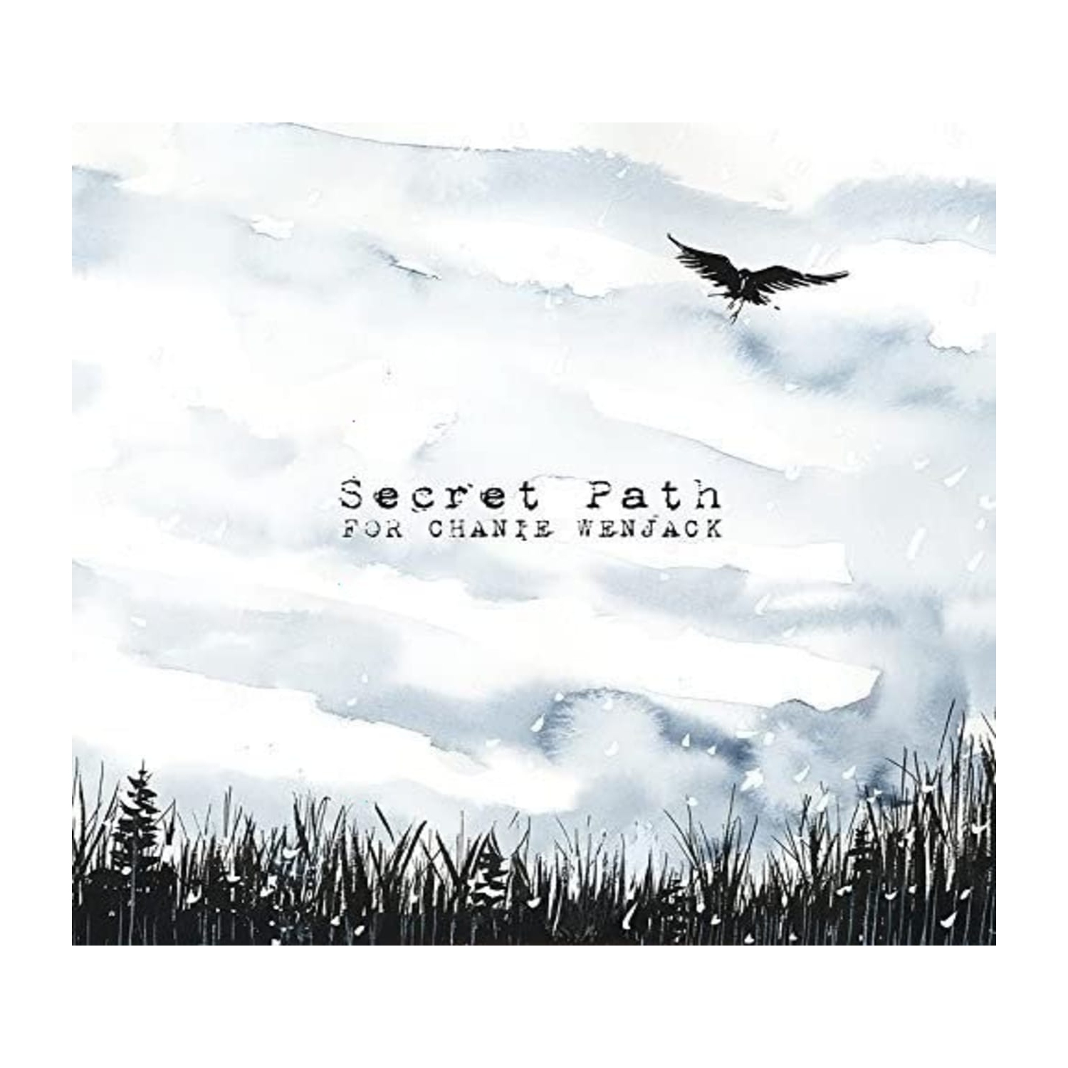 Gord Downie - Secret Path - [CD]