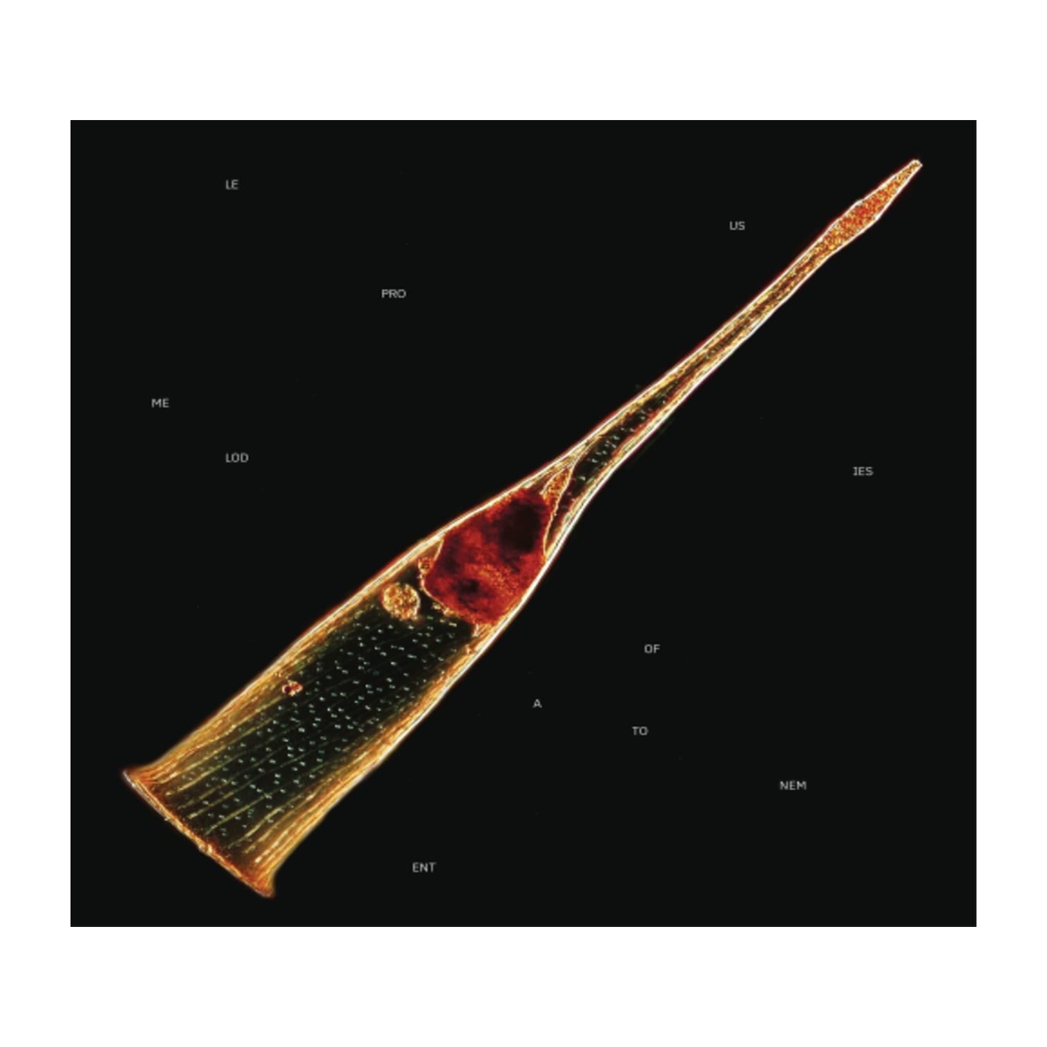 Leprous - Melodies Of Atonement - [CD]