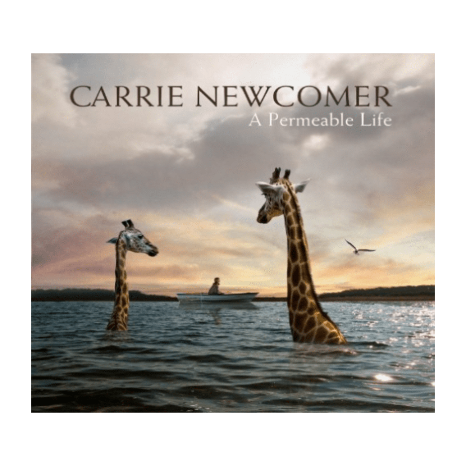 Carrie Newcomer - A Permeable Life - [CD]