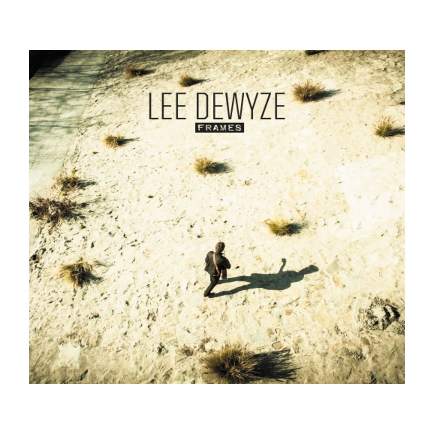 Lee DeWyze - Frames - [CD]